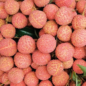 四川合江荔枝带绿桂味5斤装个大核小纯甜非妃子笑白糖罂新鲜