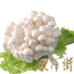 新鲜白玉菇1袋*125g鲜嫩食用菌小蘑菇菌香诱人美味爽口火锅食材