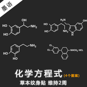 【第二件半价】草本果汁纹身贴 多巴胺化学分子式小仙女防水持久