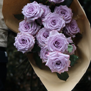 紫色玫瑰的图腾:海洋之歌,全店鲜花任意两束顺风航空包邮鲜切花
