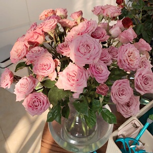 粉色多头玫瑰温柔水晶10支,全店鲜花任意2束顺丰航空包邮鲜切花