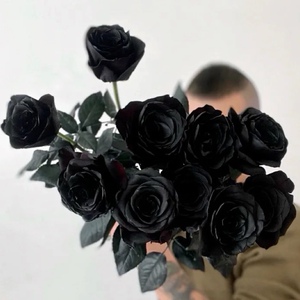 【黑色玫瑰花鲜花】黑色玫瑰花鲜花品牌,价格 - 阿里巴巴