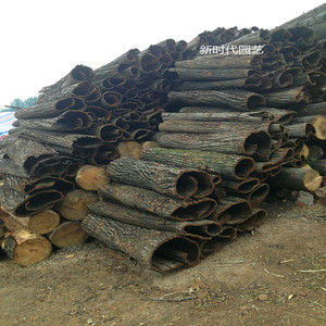 天然真树皮 柳树皮 包管道柱子 树皮装饰 道具用品 枯树 干树皮