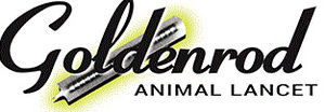 Goldenrod Animal Lancet 一次性实验动物柳叶刀，无菌 AL-GR4MM