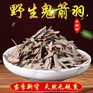 鬼箭羽中药材500g 别名:鬼见羽 鬼剑雨 卫矛 六月凌正品无硫包邮