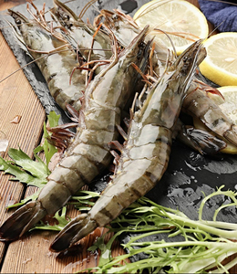 野生大黑虎虾超大对虾大虾鲜活九节虾基围虾大斑节虾海鲜大草虾