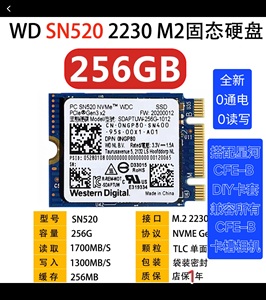 西数SN520 256G 512G  2230固态硬盘尼康相机z6789 DIY CFE内存卡