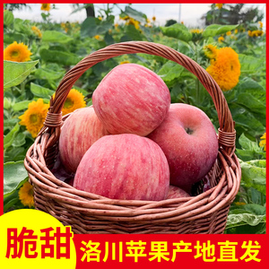 洛川苹果陕西正宗2022新果延安红富士冰糖心产地直销苹果新鲜水果