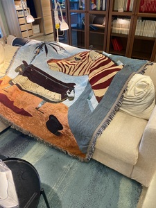 卢西安·弗洛伊德表现派抽象主义钢琴斑马沙发毯午睡盖毯休闲毯