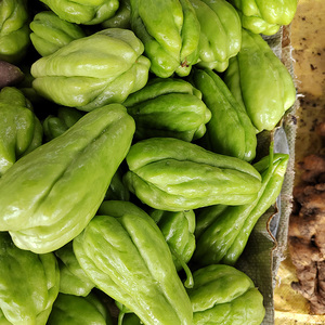 自种新鲜佛手瓜贵州农家捧瓜洋茄子虎儿瓜洋瓜新鲜清甜鲜脆