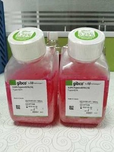 gibco胰酶