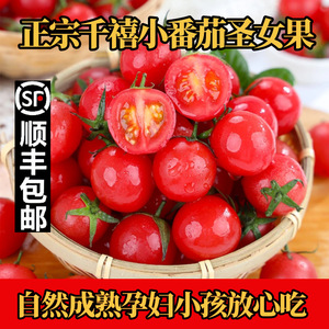 陕西圣女果新鲜超甜千禧小番茄樱桃当季应季孕妇水果生吃西红柿