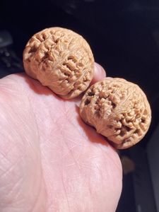 望月狮子头野生山顶