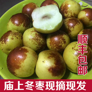 山西冬枣