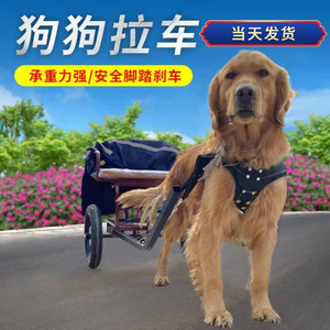 宠物车狗拉车