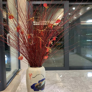 红瑞木枝条干枝水培植物泡水长根长叶秋季年宵花家庭办公室内插花