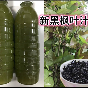 下单现榨现发新鲜枫叶汁广西三月三糯米饭颜色纯天然黑色枫香叶水