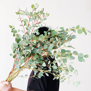 出口爱心心形尤加利叶鲜花花束有气质自带高级感百搭配花节日送人