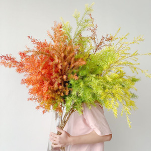 暖色系渐变色提升家居千层金鲜切枝黄金香柳植物绿植插花水养
