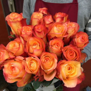 云南鲜花金辉玫瑰鲜花双色玫瑰橙色橘色玫瑰鲜花家庭办公室插花