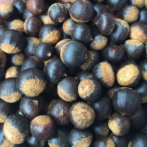 野果小锥栗米锥子园子孕妇零食坚果龙珠子毛栗野生小板栗福建特产