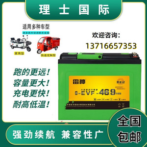 理士雷神动力高能量铅酸电池6-evf-46.9电动车专用 12v46.9ah原装