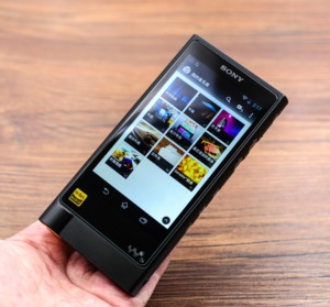 sony音响设备播放fm_sony音乐播放器安卓_sony d50 播放什么格式