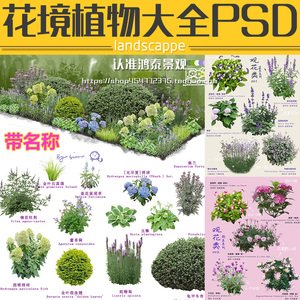 2024高清花镜设计植物大全PS素材带名称景观花境效果图植物ps素材