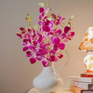 意朵鲜花 洋兰鲜切花 泰国进口白色紫色万代兰花室内客厅水养插花