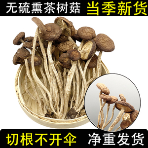 云南农家茶树菇干货不开伞茶薪菇非新鲜香菇蘑菇商用云南菌子