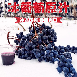吉林集安冰葡萄汁