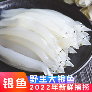 松原查干湖鱼野生银鱼冬捕银鱼淡水鱼 国产冷冻淡水水产