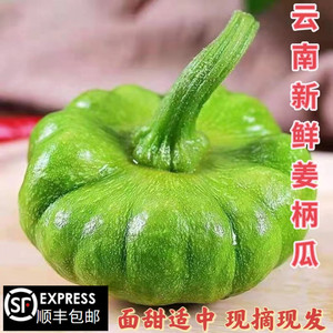 云南姜柄瓜姜饼瓜小麦瓜现摘新鲜蔬菜嫩南瓜小面瓜3斤顺丰包邮