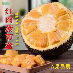 越南进口红肉菠萝蜜当季新鲜热带水果红心泰国木波罗8-20斤一整个