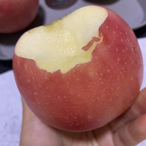 【金斗南】金斗南品牌,价格 - 阿里巴巴