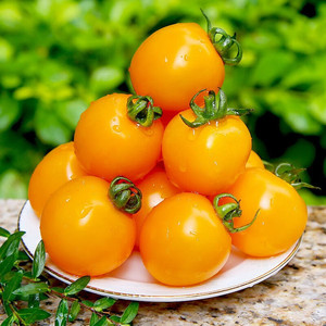 广西千禧黄金圣女果5斤当季新鲜樱桃小番茄西红柿孕妇甜水果整箱8