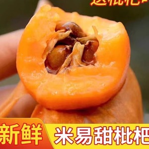 四川米易高山枇杷琵琶果孕妇水果3/5斤孕妇水果
