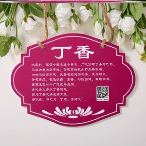 植树节定制挂树牌学校树木花草园林绿化植物信息树木介绍定制标牌