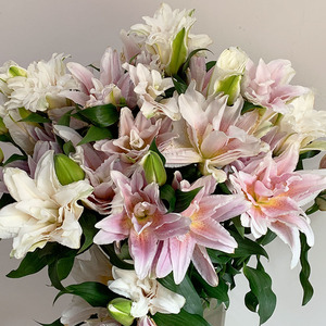 yoyo花花世界胡安娜粉色重瓣百合鲜花菜花期长家用送长辈花艺插花
