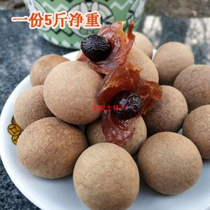 泸州桂圆干6A特级大果5*500g新货四川特产龙眼干8A带壳即食散装