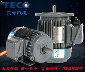 台湾东元TECO电机马达卧式立式0.75KW 4P 刹车变频三相220V380V