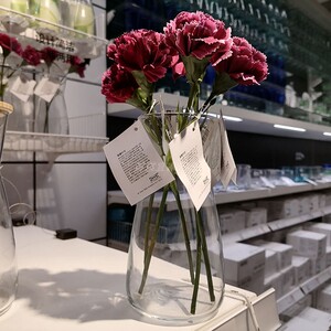 宜家正品卡拉夫 餐用水瓶 透明玻璃 可用作花瓶插花 1.0 公升