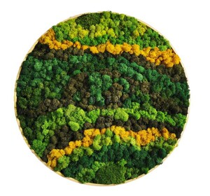 2021北欧文艺范永生苔藓壁挂植物墙壁画免维护创意餐厅客厅工作室