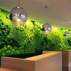 永生苔藓植物装饰植被藓白发藓微景观绿植墙背景墙仿真苔藓植物墙