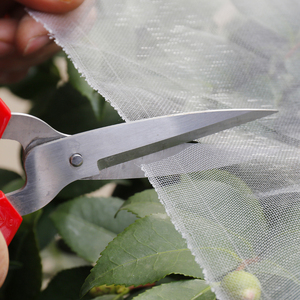 防虫网果树防护网纱防鸟神器网罩樱桃杨梅防果q蝇套袋加密防虫用