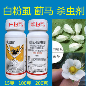 白粉虱专用药龙生22%联苯·噻虫嗪白粉虱蚜虫蓟马小飞黑杀虫剂