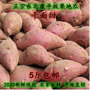辽宁东北康平地瓜老品种板栗新鲜红暑干面甜蜜薯玛莎莉5斤包邮