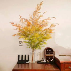 千层金 黄金香柳 香松 鲜切花 家庭插花云南昆明基地直发真花鲜花