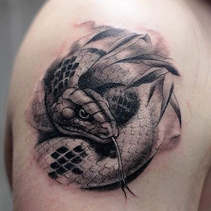 纹身贴防水 女 胳膊蛇纹身贴 眼镜蛇 五毒 花臂刺青贴纸 效果逼真