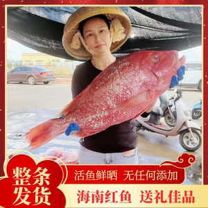 海南儋州红鱼干日晒淡干整条红鱼干海鲜干货特级土特产深海咸鱼干
